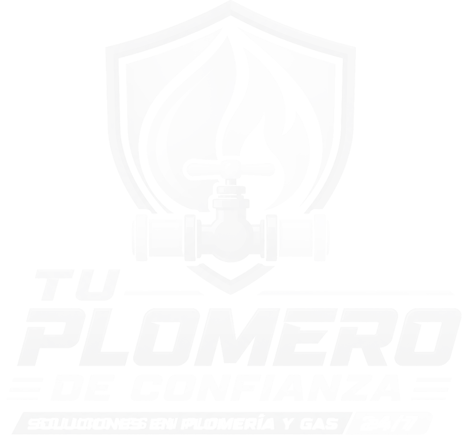 tuplomerodeconfianza.com
